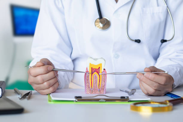 Best Broken or Cracked Tooth Emergency Dentist in Mount Pulaski, IL